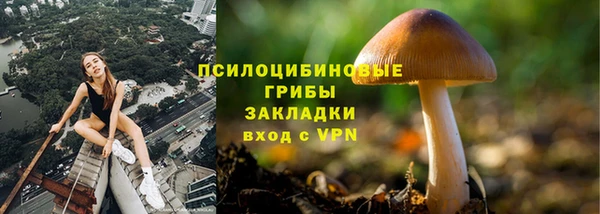мдпв Арсеньев