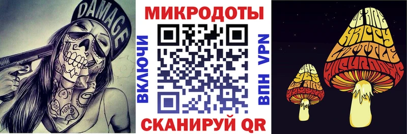 Галлюциногенные грибы мицелий  Салехард 